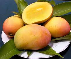 প্রিমিয়াম হিমসাগর আম – ১ কেজি